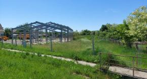 Újszentmargita - tésztaüzem 2